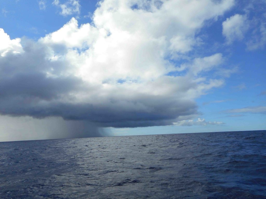 Je mehr wir nach Westen kamen, wir häufiger kamen Squalls. Das Schiff war danach immer perfekt gewaschen:-)